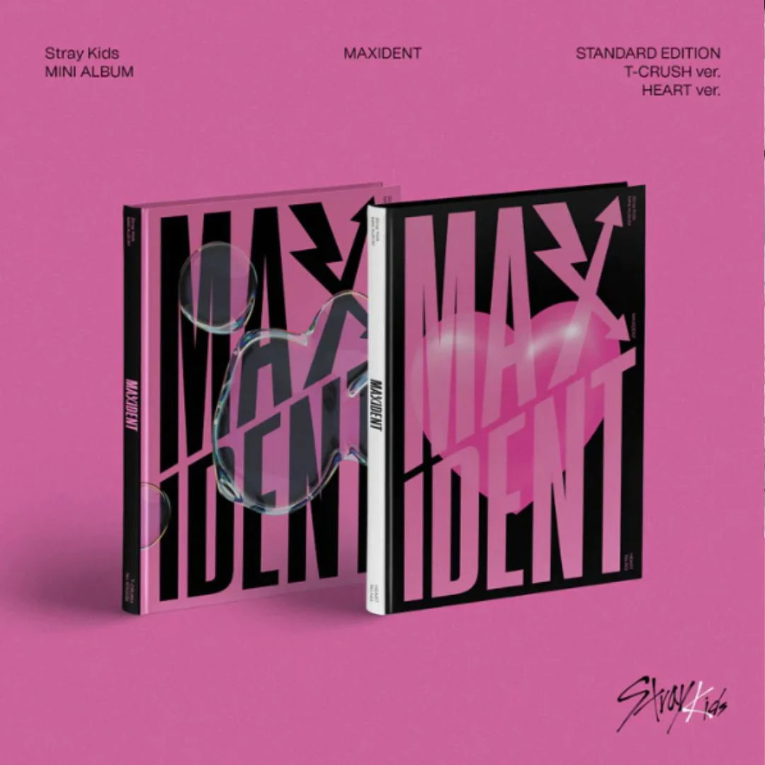 Stray Kids Maxident