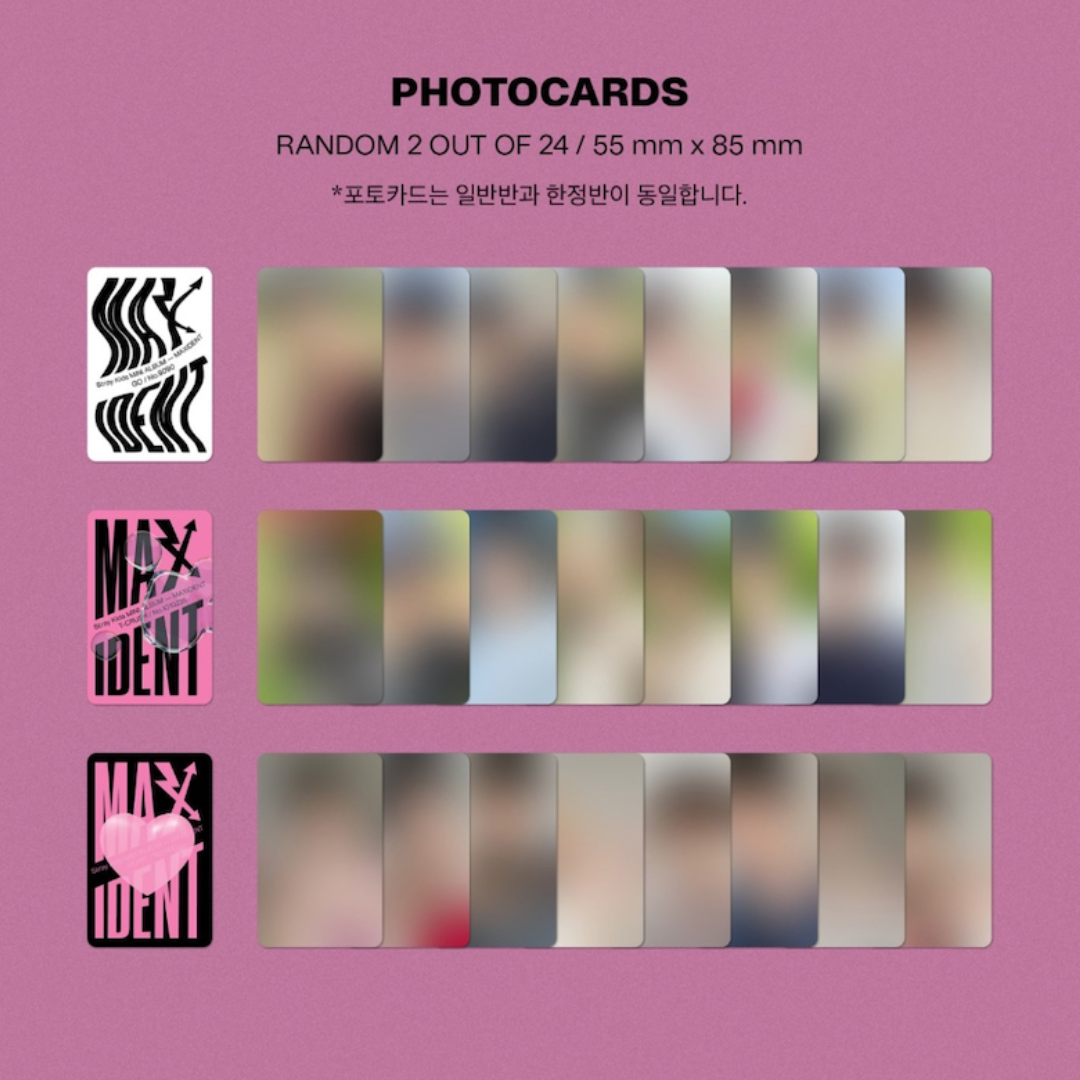 Stray Kids Maxident