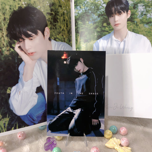 Jiwoong ZB1 Youth In The Shade Album Post Card